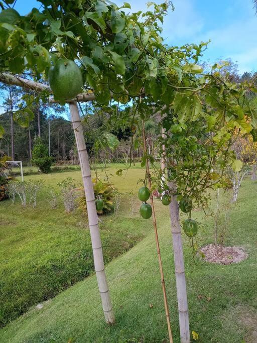 Sitio Paraiso Verde Juquitiba Buitenkant foto