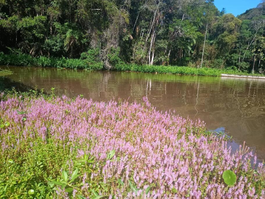 Sitio Paraiso Verde Juquitiba Buitenkant foto