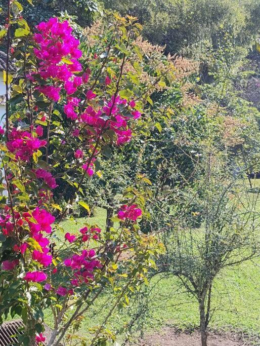Sitio Paraiso Verde Juquitiba Buitenkant foto